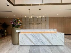 Mount Elizabeth Hospital (D9), Retail #480166461